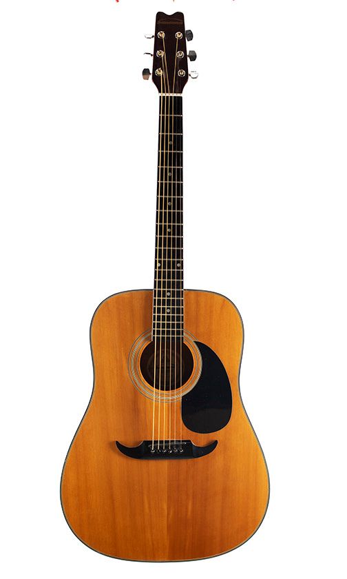 A Santana D10 acoustic guitar