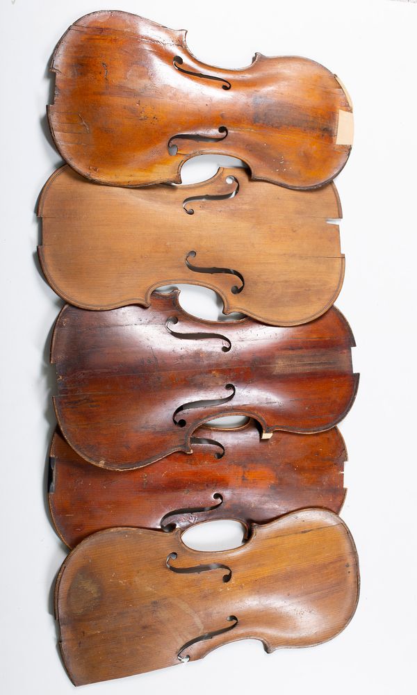 Five violin fronts