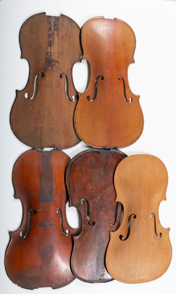 Five violin fronts