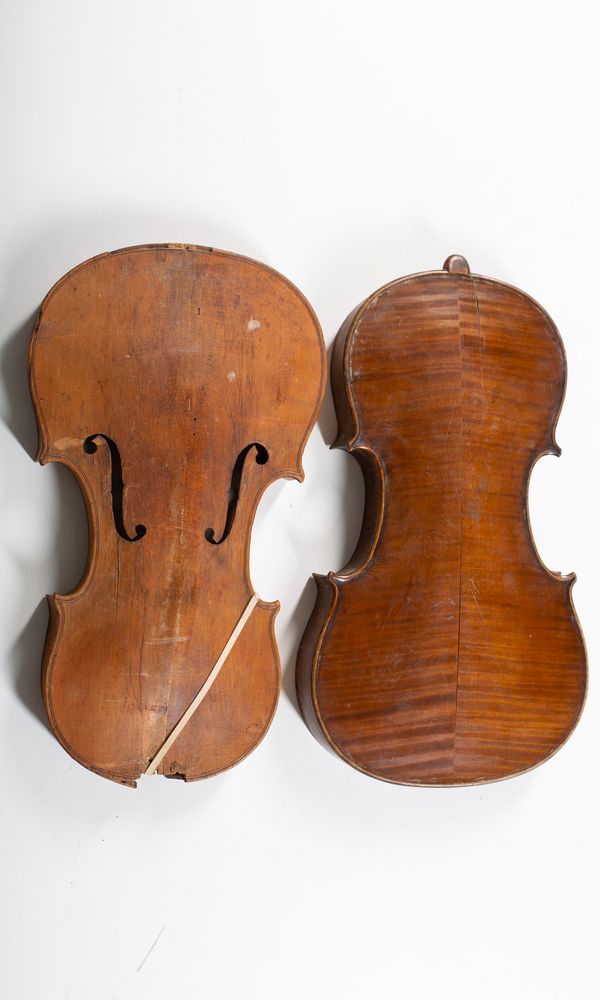 Two violin backs
