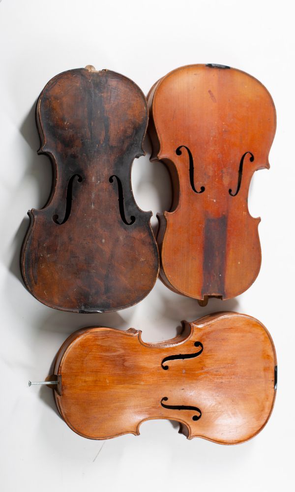 Four violin bodies