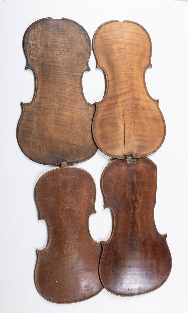 Five violin backs