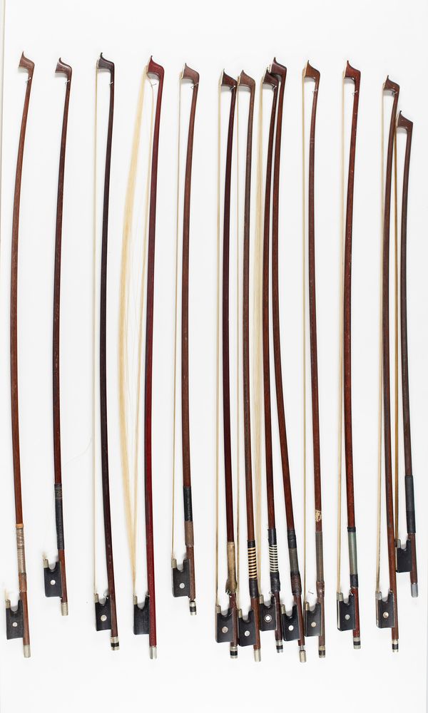 Thirteen violin bows