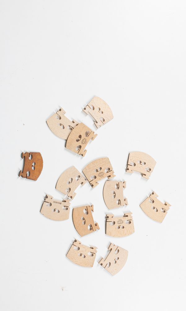 Fourteen viola bridges, various sizes