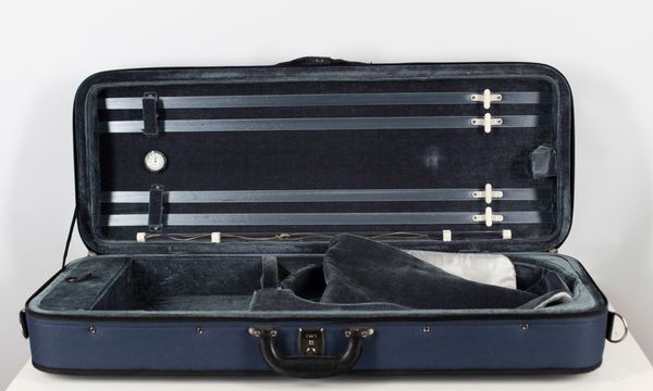 A viola case