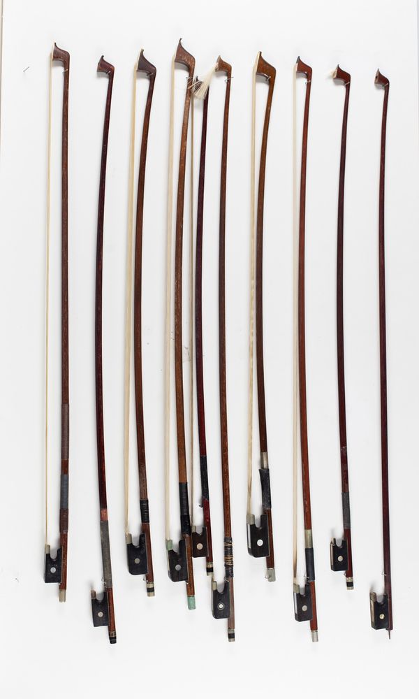 A bundle of seven violin bows and three cello bows, varying lengths
