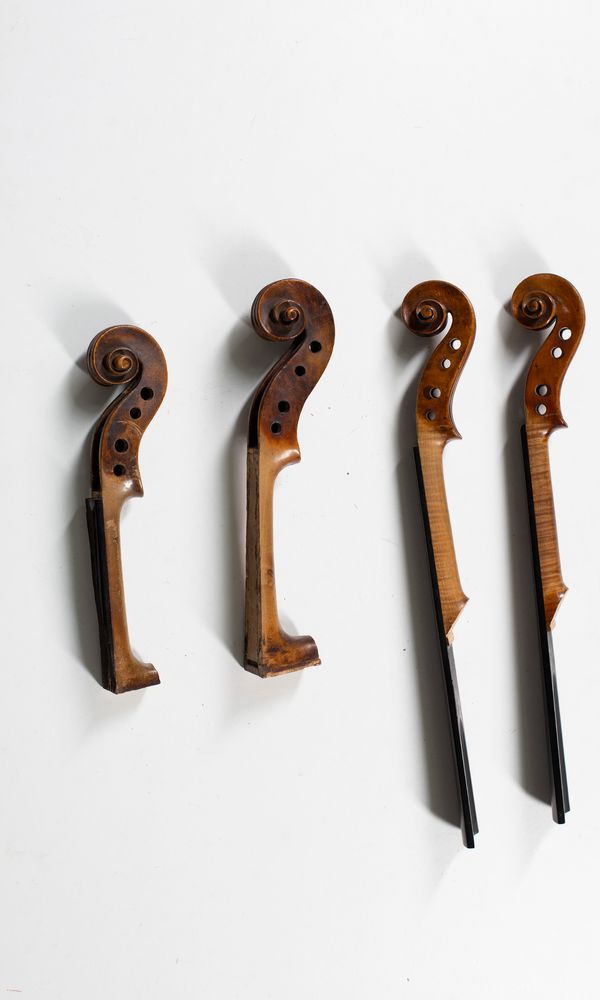 Two violin and two viola scrolls