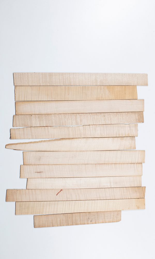 Twelve violin ribs, maple