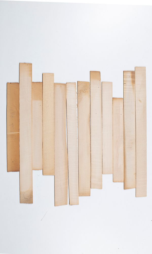 Twelve violin ribs, maple