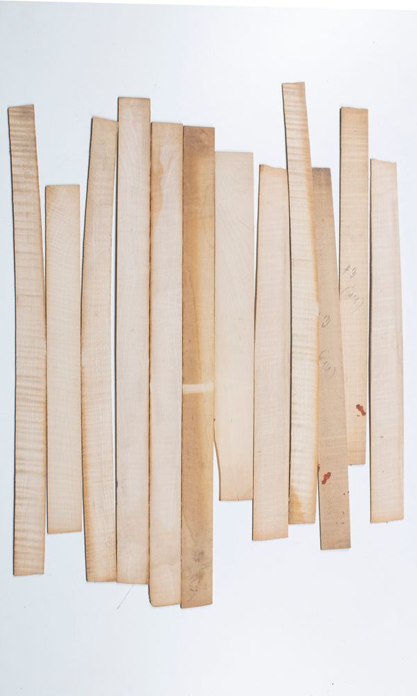 Twelve violin ribs, maple