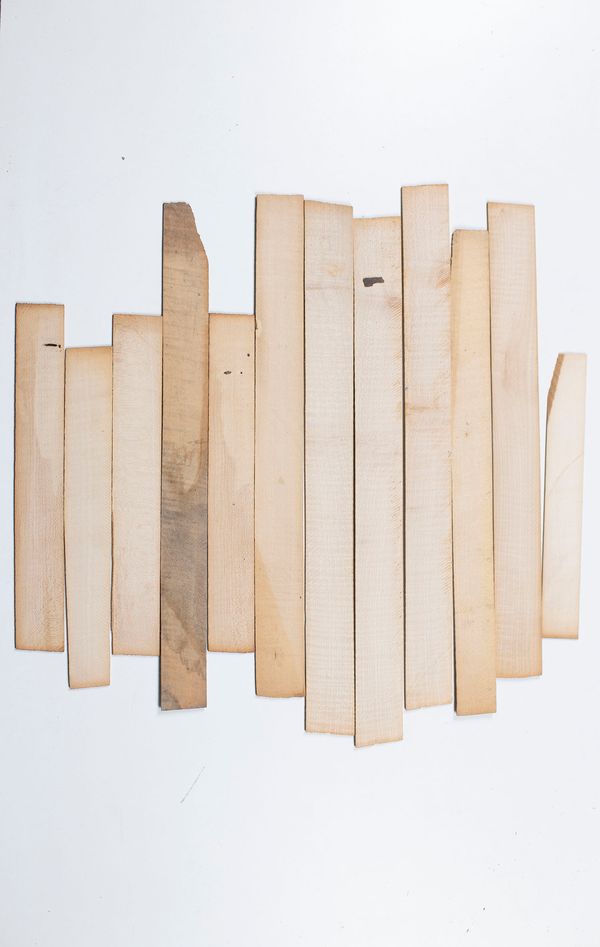 Twelve violin ribs, maple