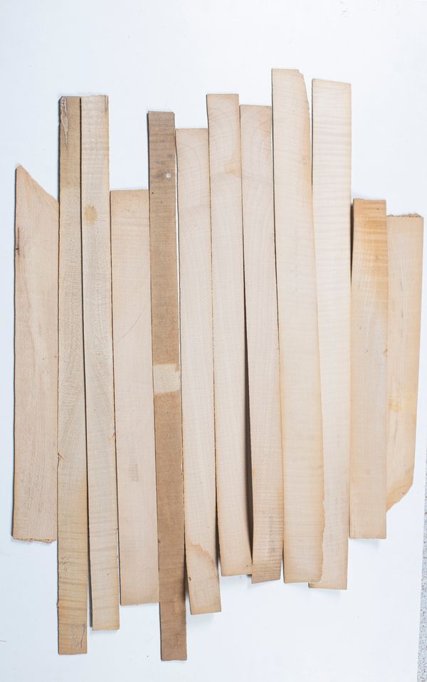 Twelve violin ribs, maple