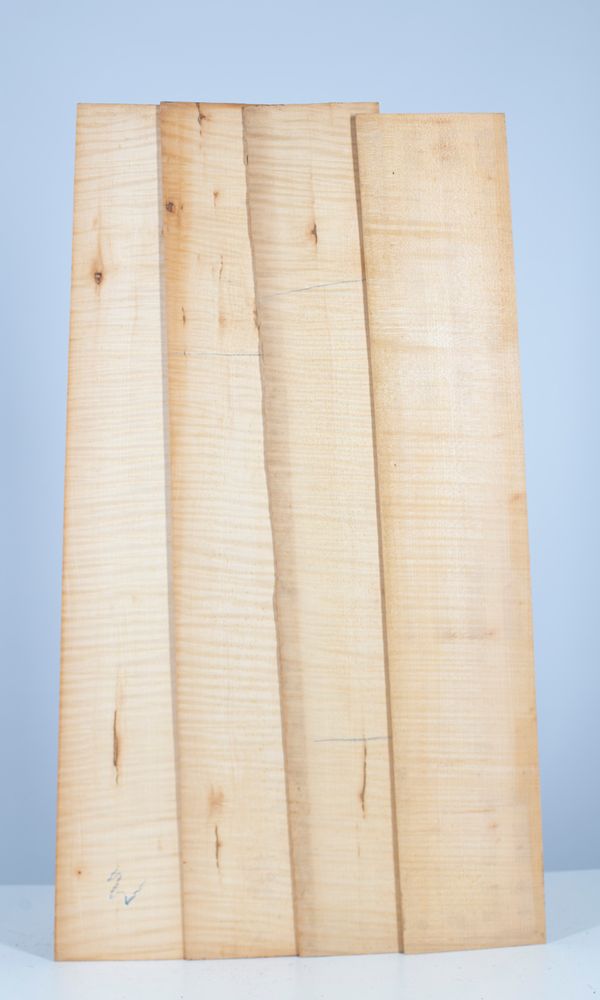 Eight cello ribs, maple