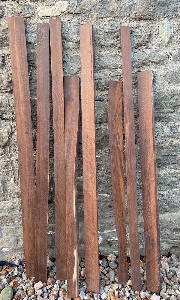 Eight snakewood offcuts