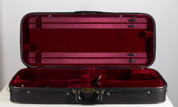 Two double violin cases