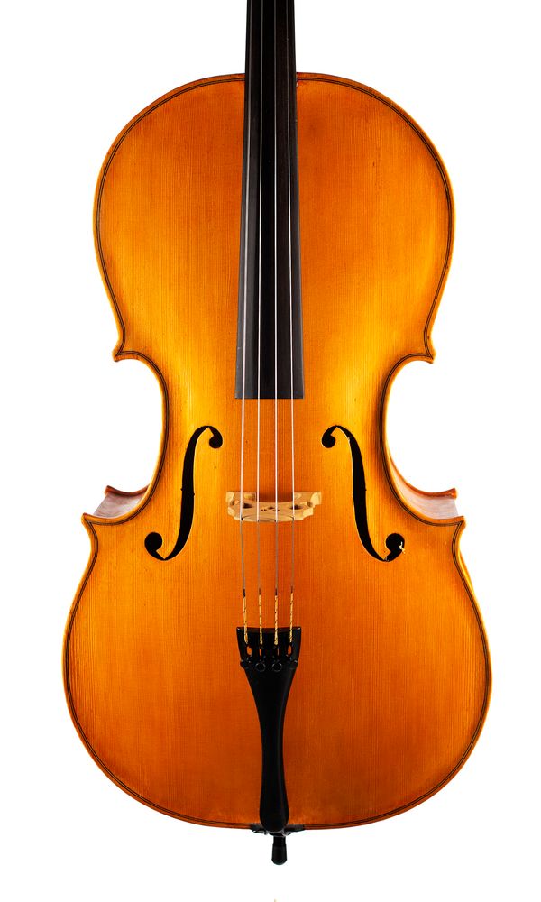 A cello, labelled Derek Steele
