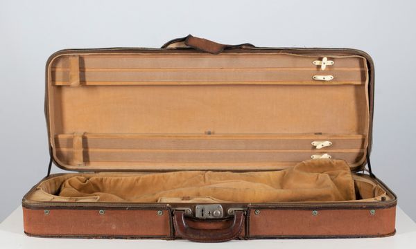 A double violin case