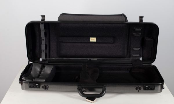 A BAM violin case