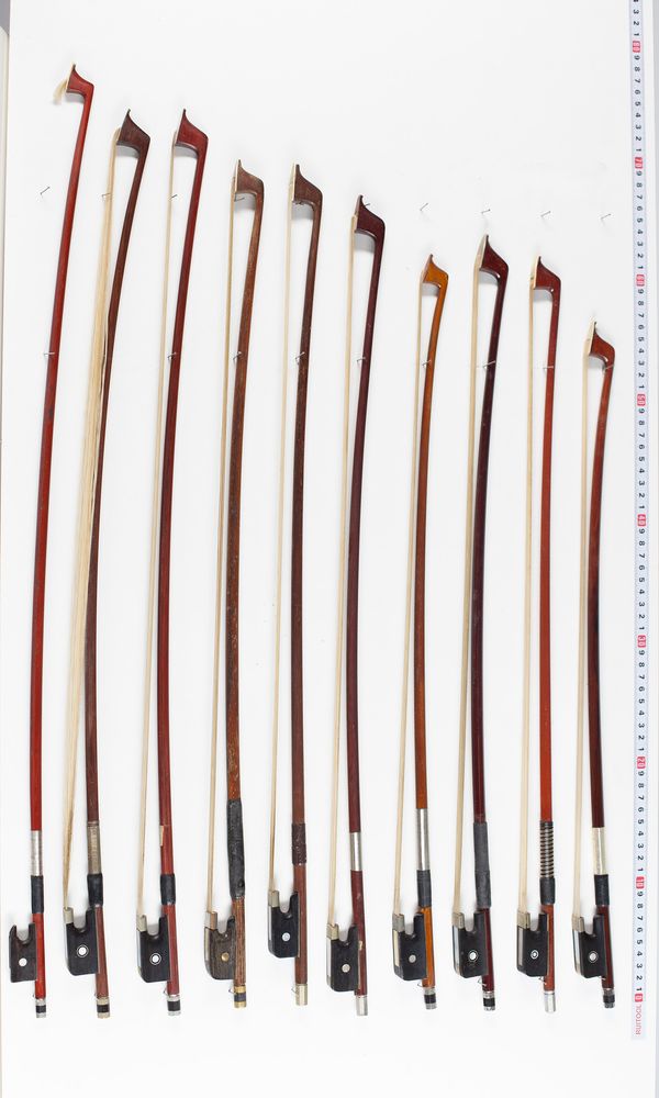 Twelve cello bows, varying lengths