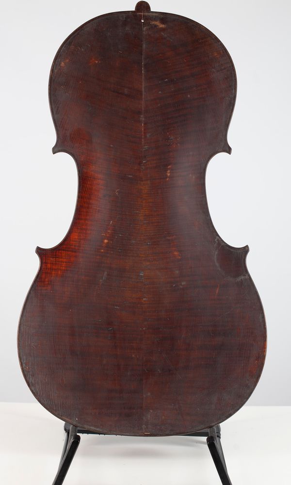 A cello back, unlabelled