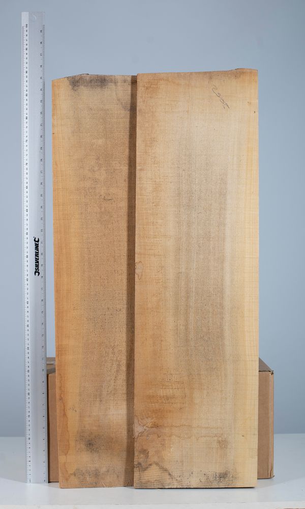 One two-piece cello back, poplar