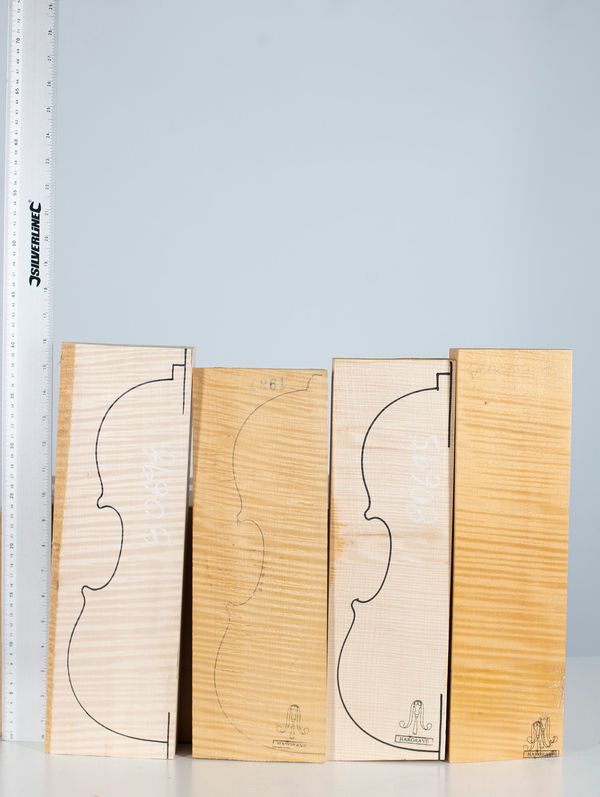 Four violin backs, maple