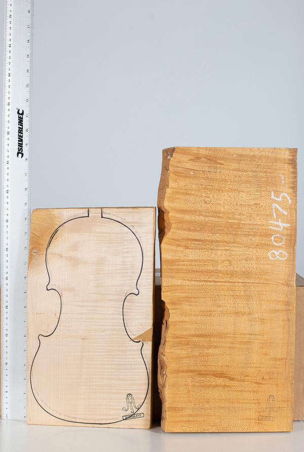 Two one-piece violin backs, maple