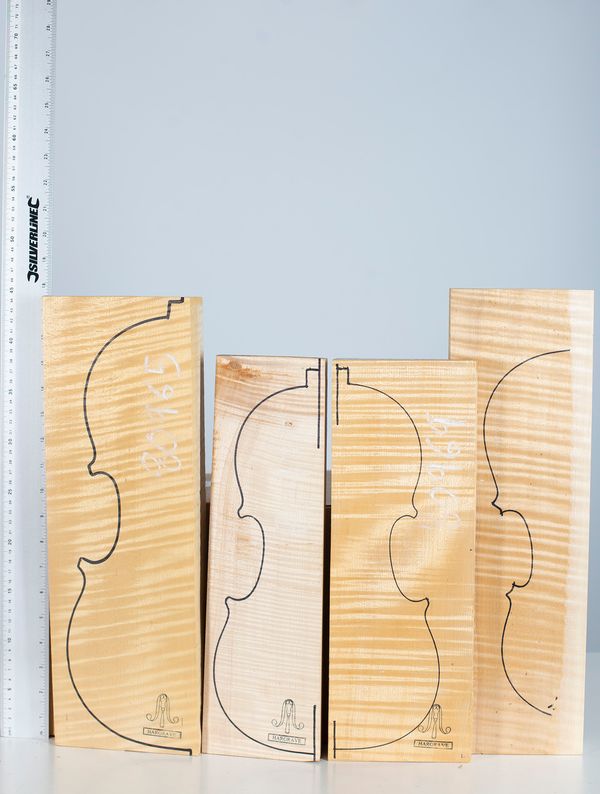 Four violin backs, maple