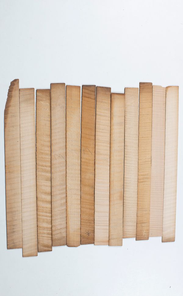 Twelve violin ribs, maple