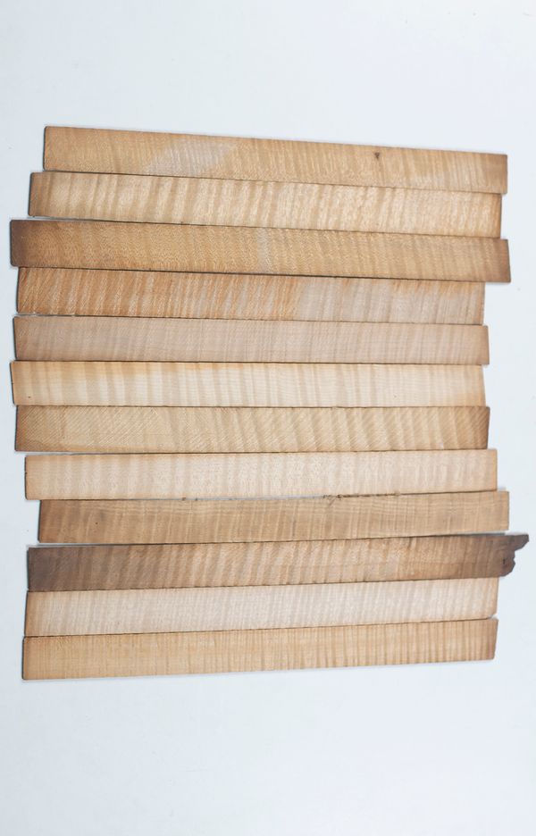 Twelve violin ribs, maple