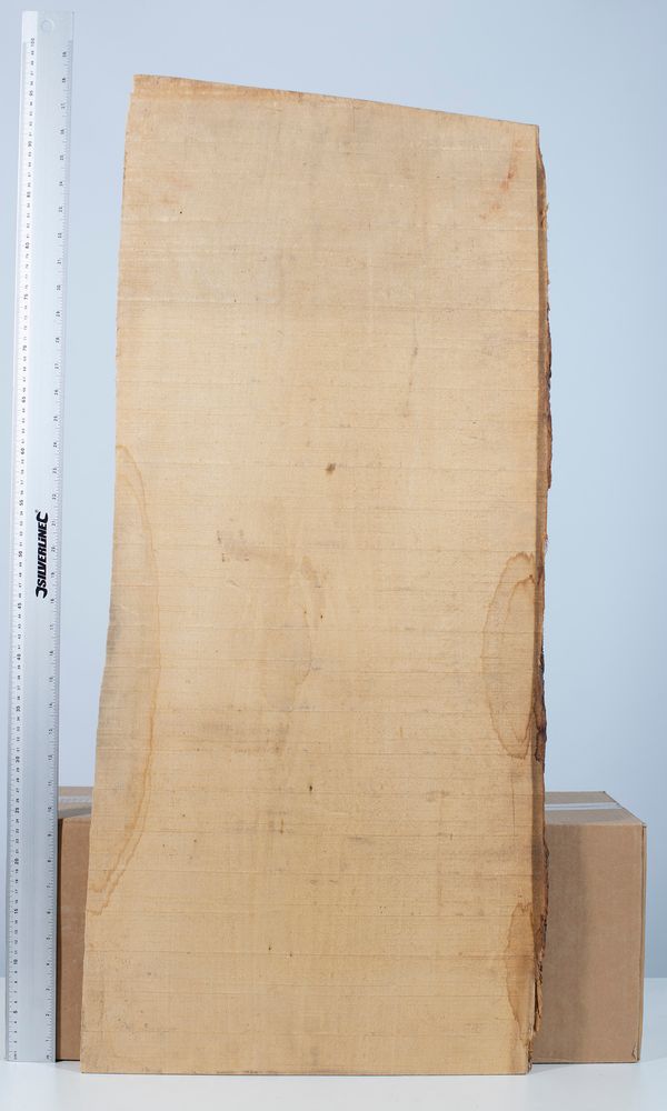 A cello back, poplar