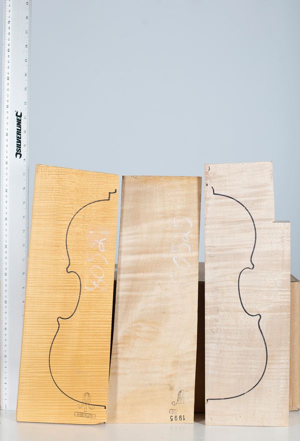 Four violin backs, maple