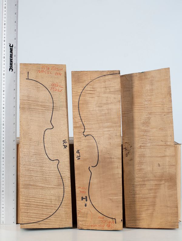 Five violin backs, maple