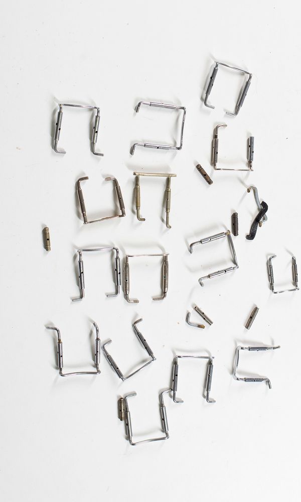 Fifteen chin rest clamp screws, various sizes