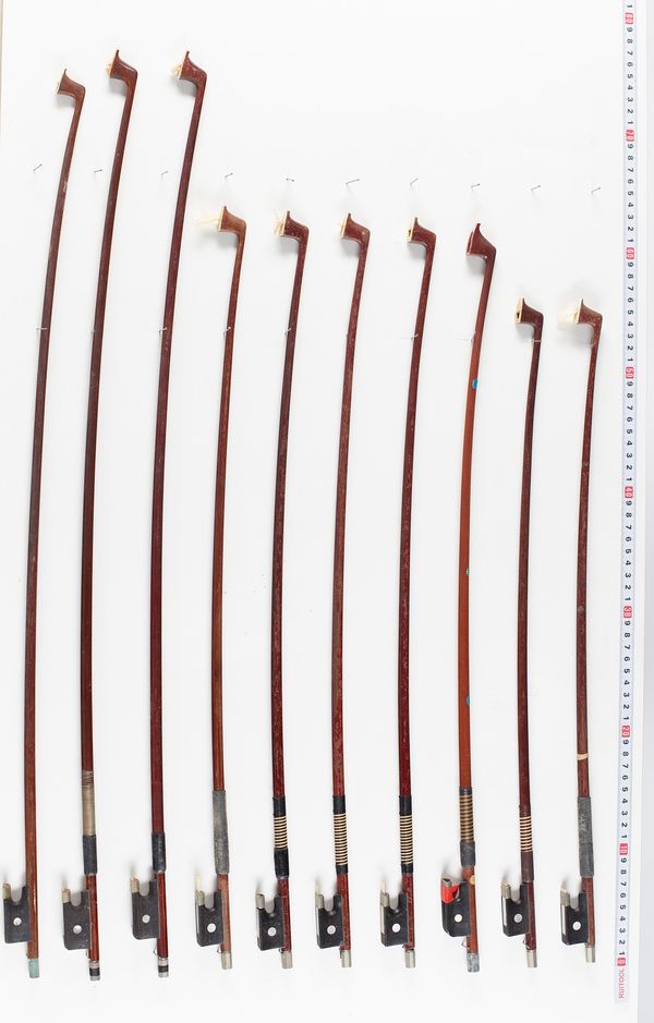 Twenty six violin bow sticks and four cello bow sticks, various lengths