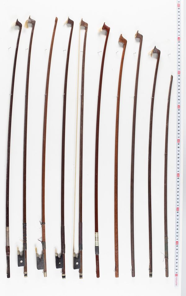 Six violin bows, one cello bow and seven sticks, various lengths