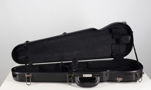 A hard violin case branded Eastman