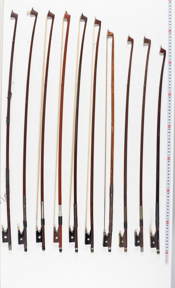 Thirteen violin bows and one cello bow, varying lengths