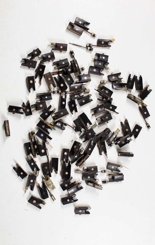 Eighty-five frogs, various sizes