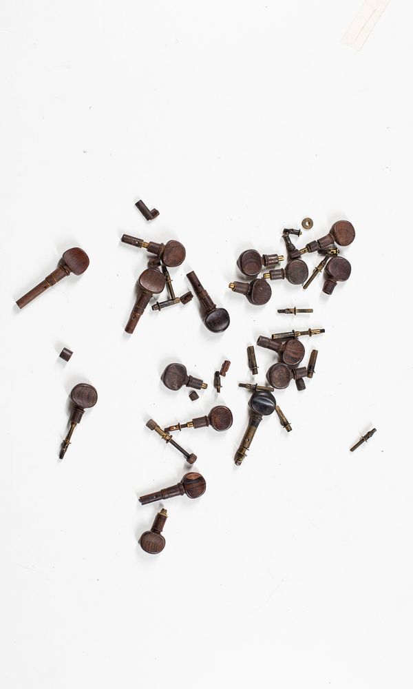 Seventeen  violin mechanical pegs