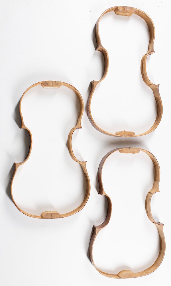 Five violin rib structures