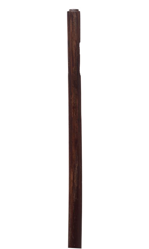A violin bow stick