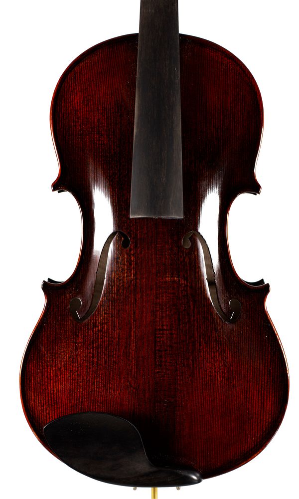 A viola, unlabelled