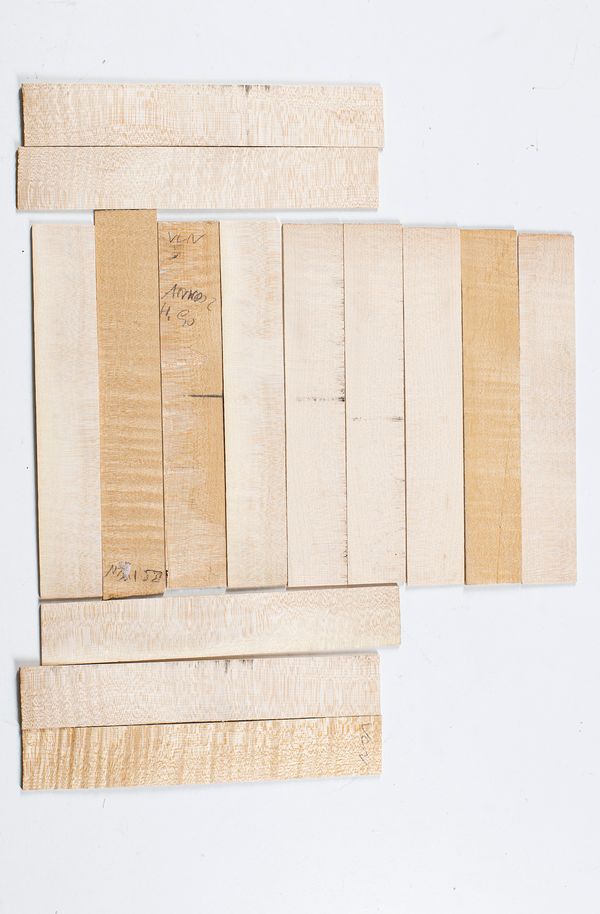 Fourteen violin ribs