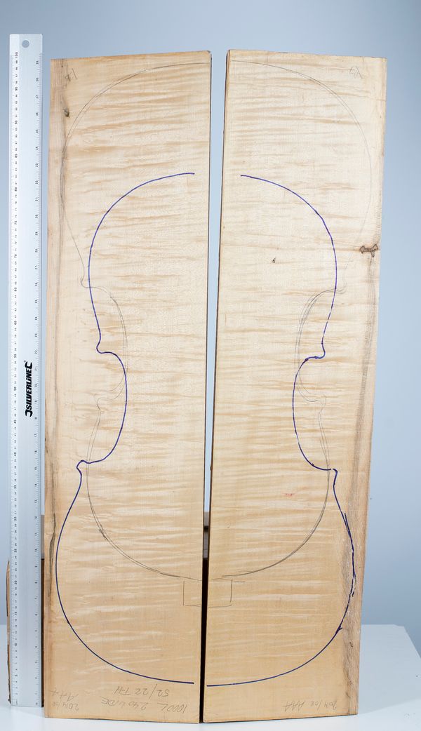 A cello back, maple