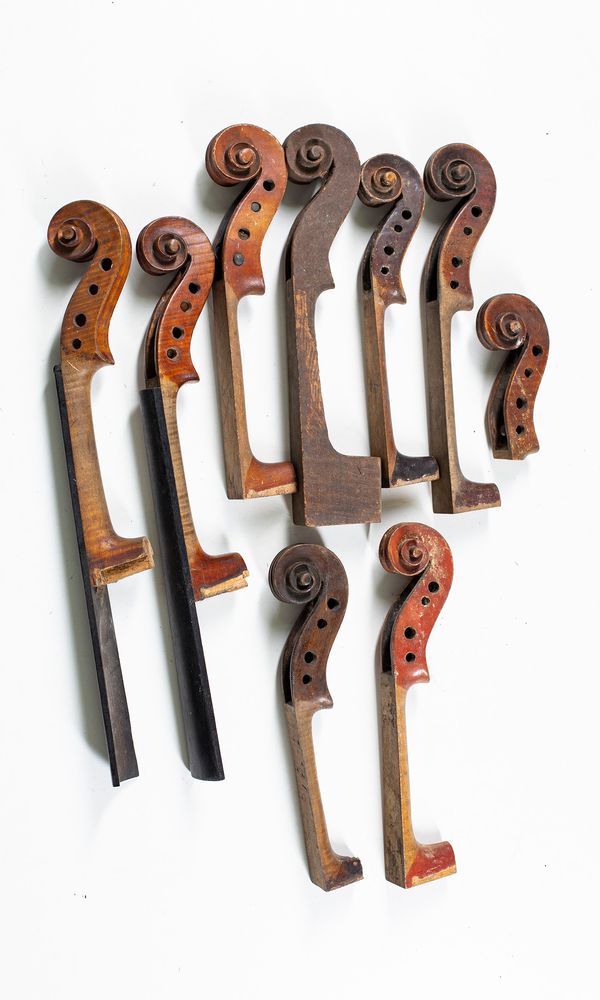 Twenty one violin scrolls
