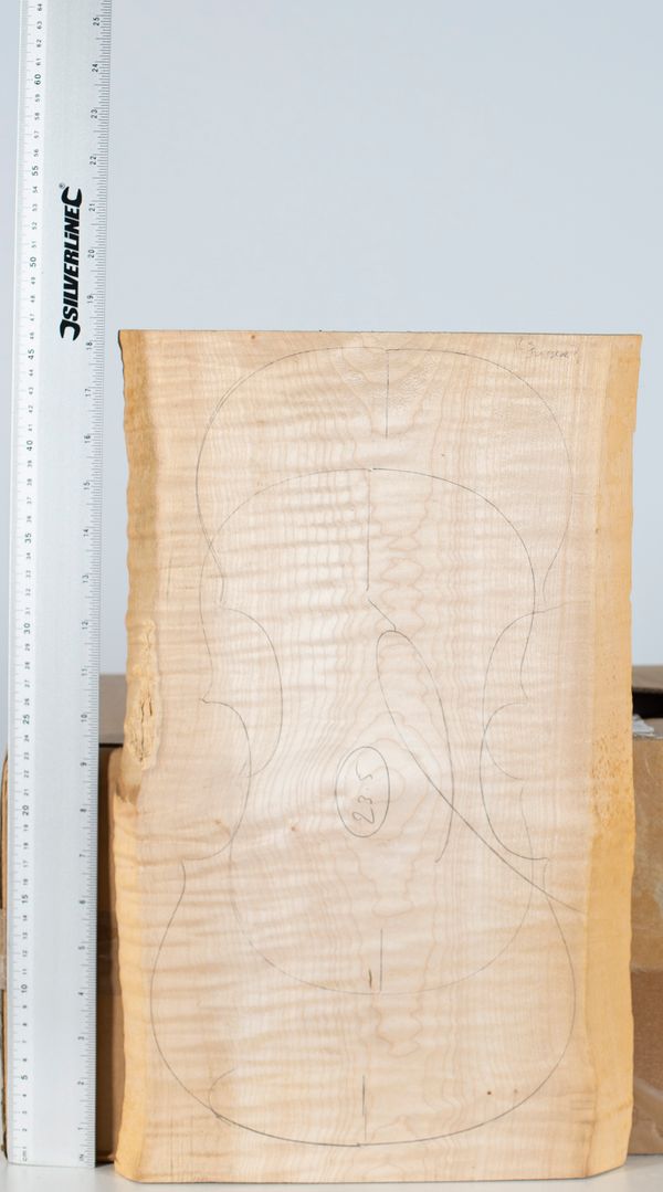 A slab cut of maple
