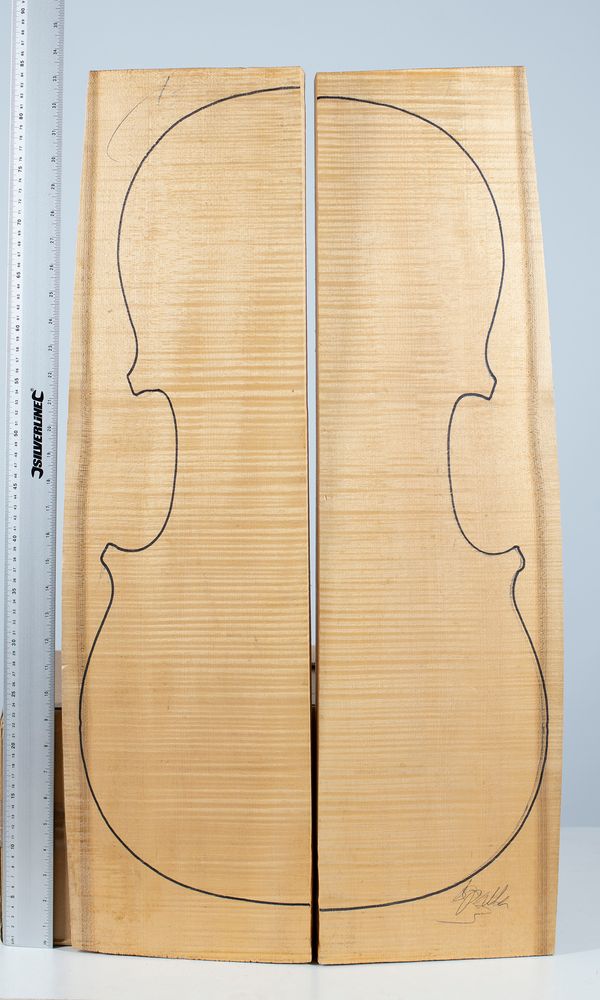 A cello back, maple
