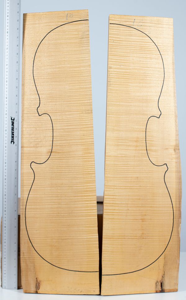 A cello back, maple