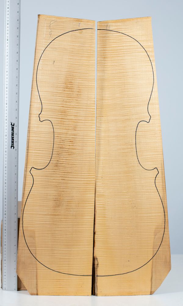 A cello back, maple